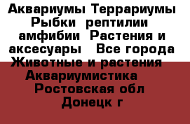 Аквариумы.Террариумы.Рыбки, рептилии, амфибии. Растения и аксесуары - Все города Животные и растения » Аквариумистика   . Ростовская обл.,Донецк г.